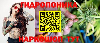 твердый Севастополь
