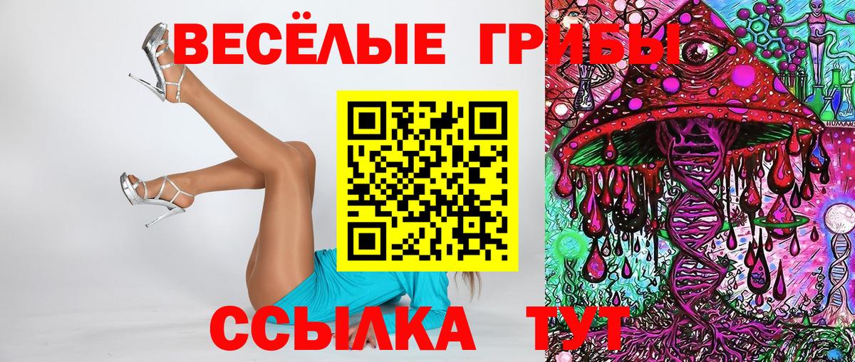 Галлюциногенные грибы ЛСД Полевской