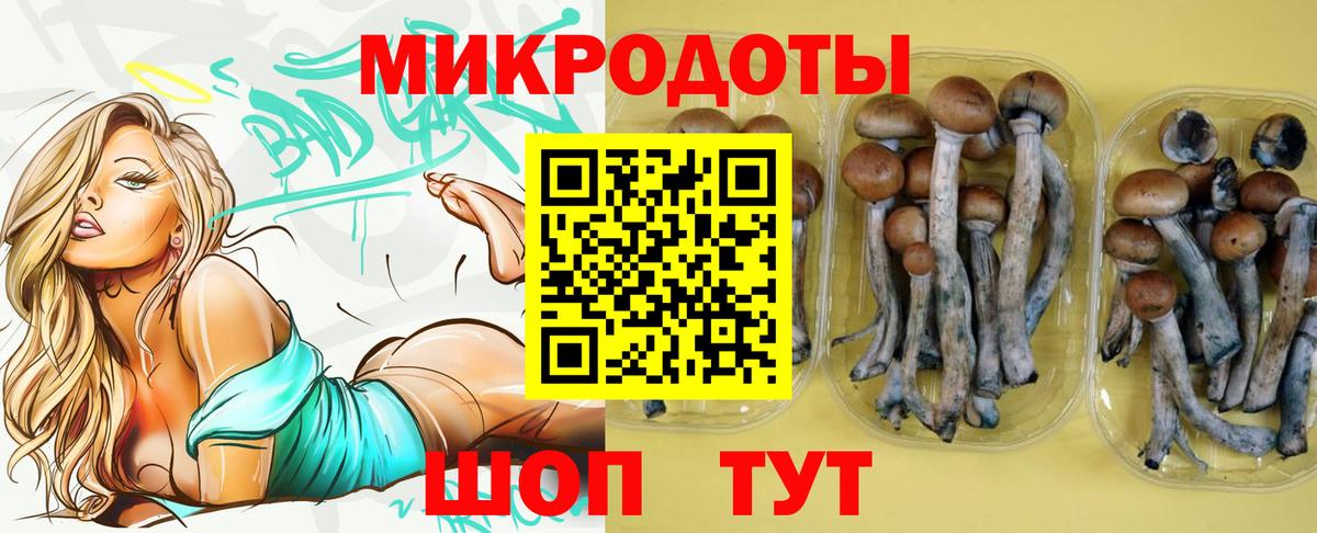 Псилоцибиновые грибы Cubensis  Вход с VPN  Полевской 